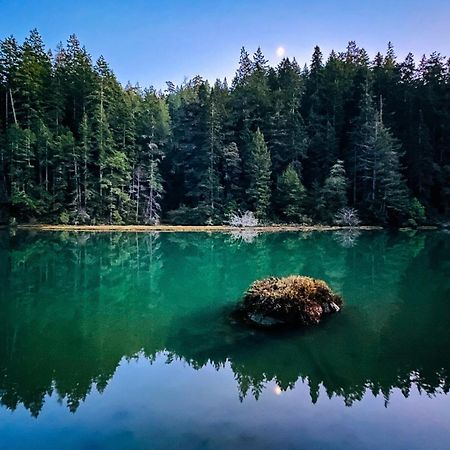 Mendocino Redwood Retreat - Vista Home Albion ภายนอก รูปภาพ