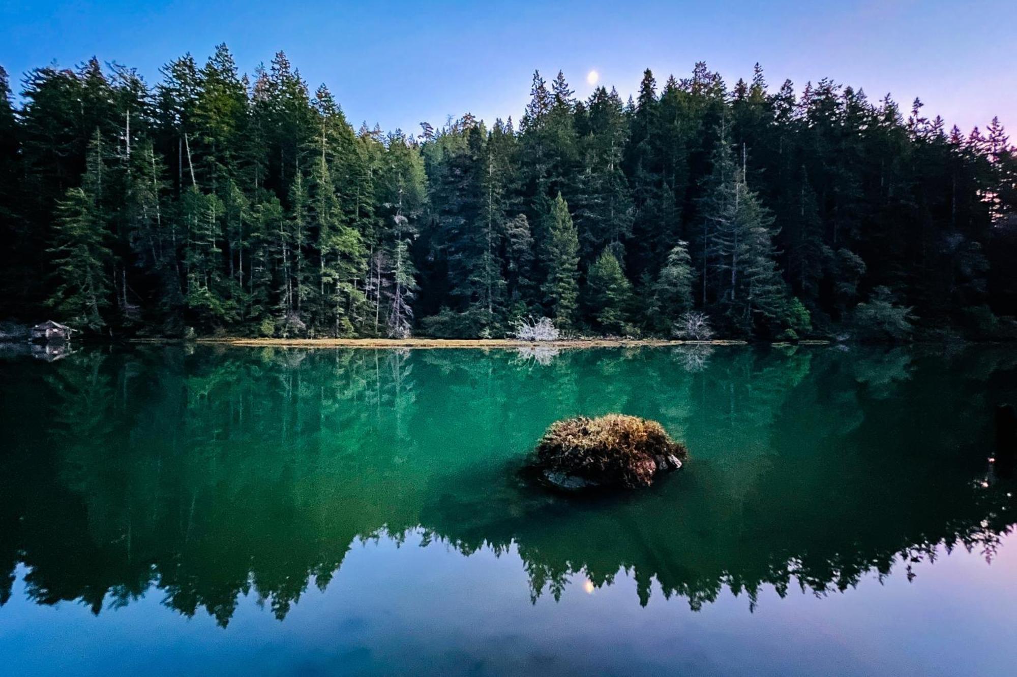 Mendocino Redwood Retreat - Vista Home Albion ภายนอก รูปภาพ