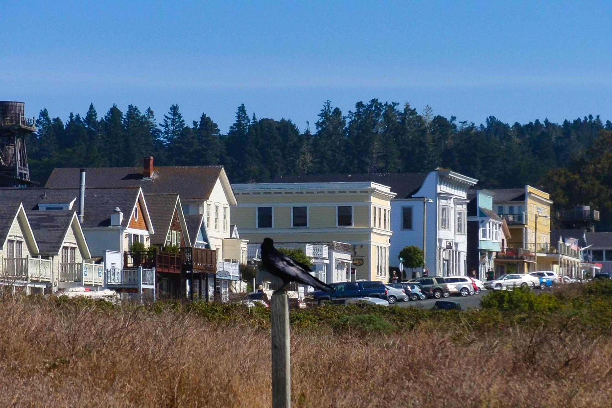 Mendocino Redwood Retreat - Vista Home Albion ภายนอก รูปภาพ