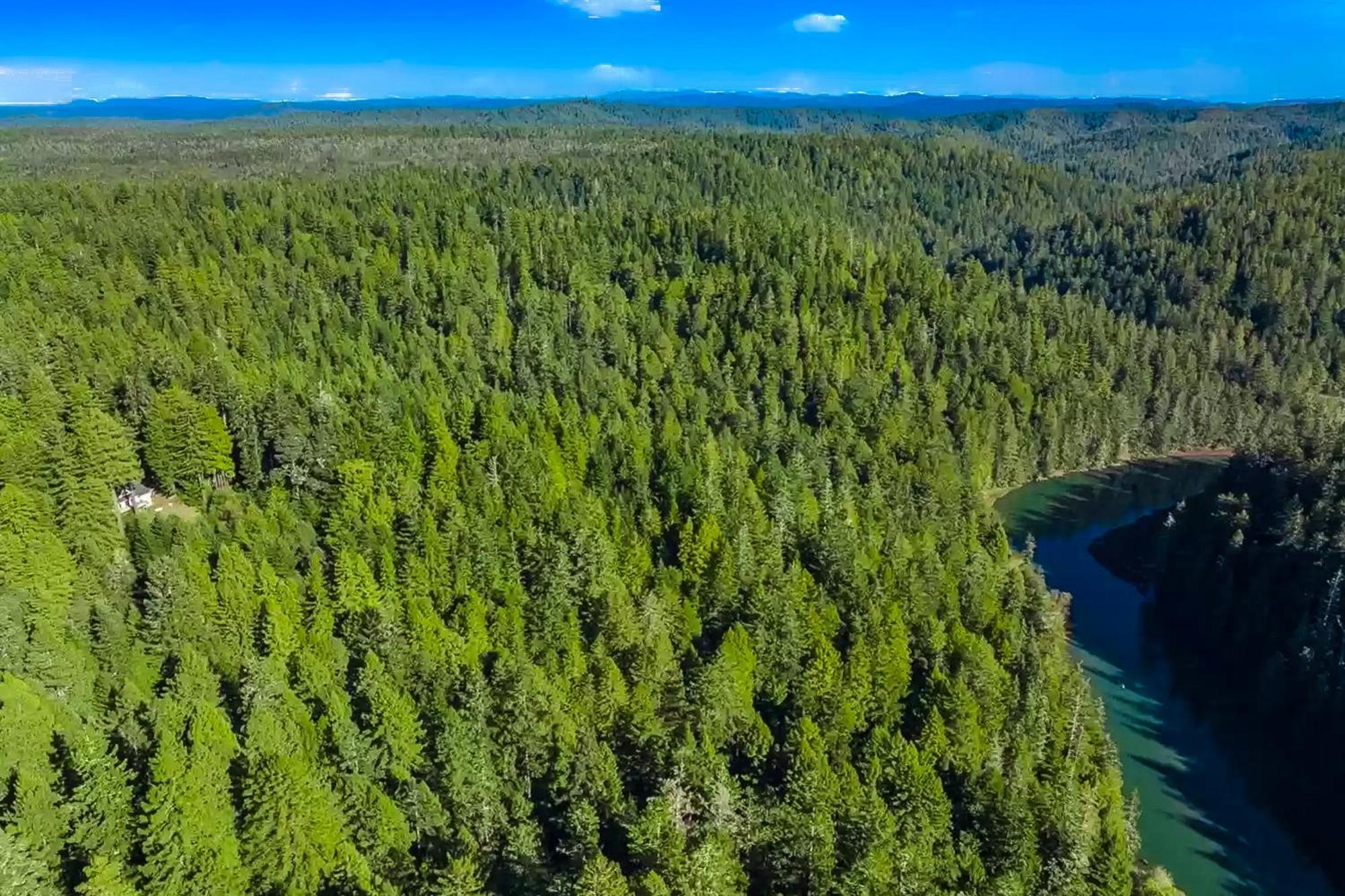 Mendocino Redwood Retreat - Vista Home Albion ภายนอก รูปภาพ