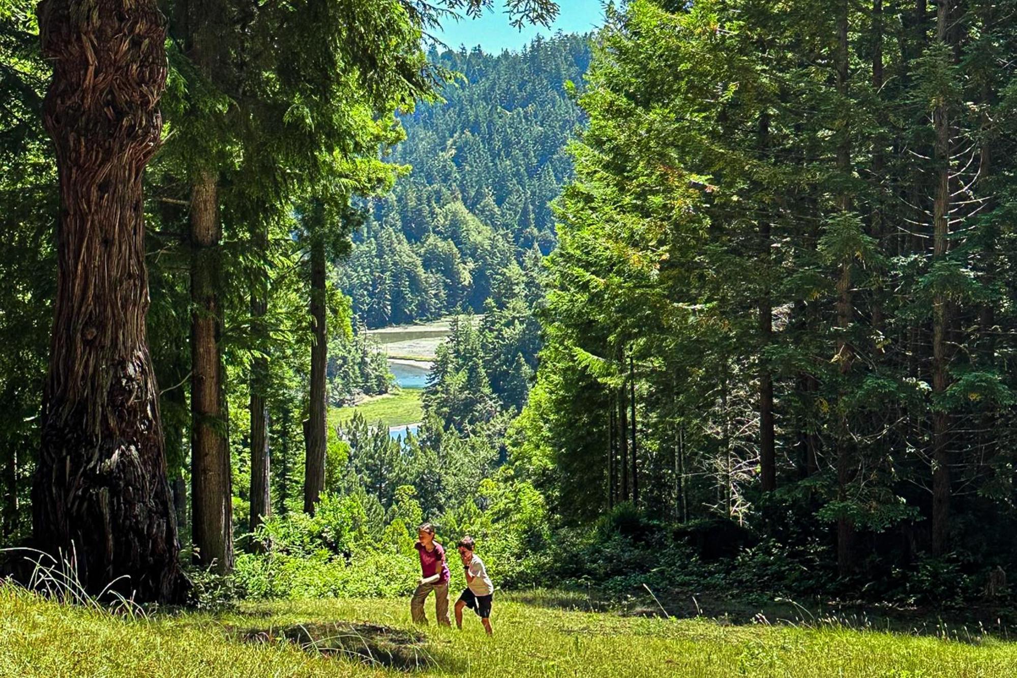 Mendocino Redwood Retreat - Vista Home Albion ภายนอก รูปภาพ