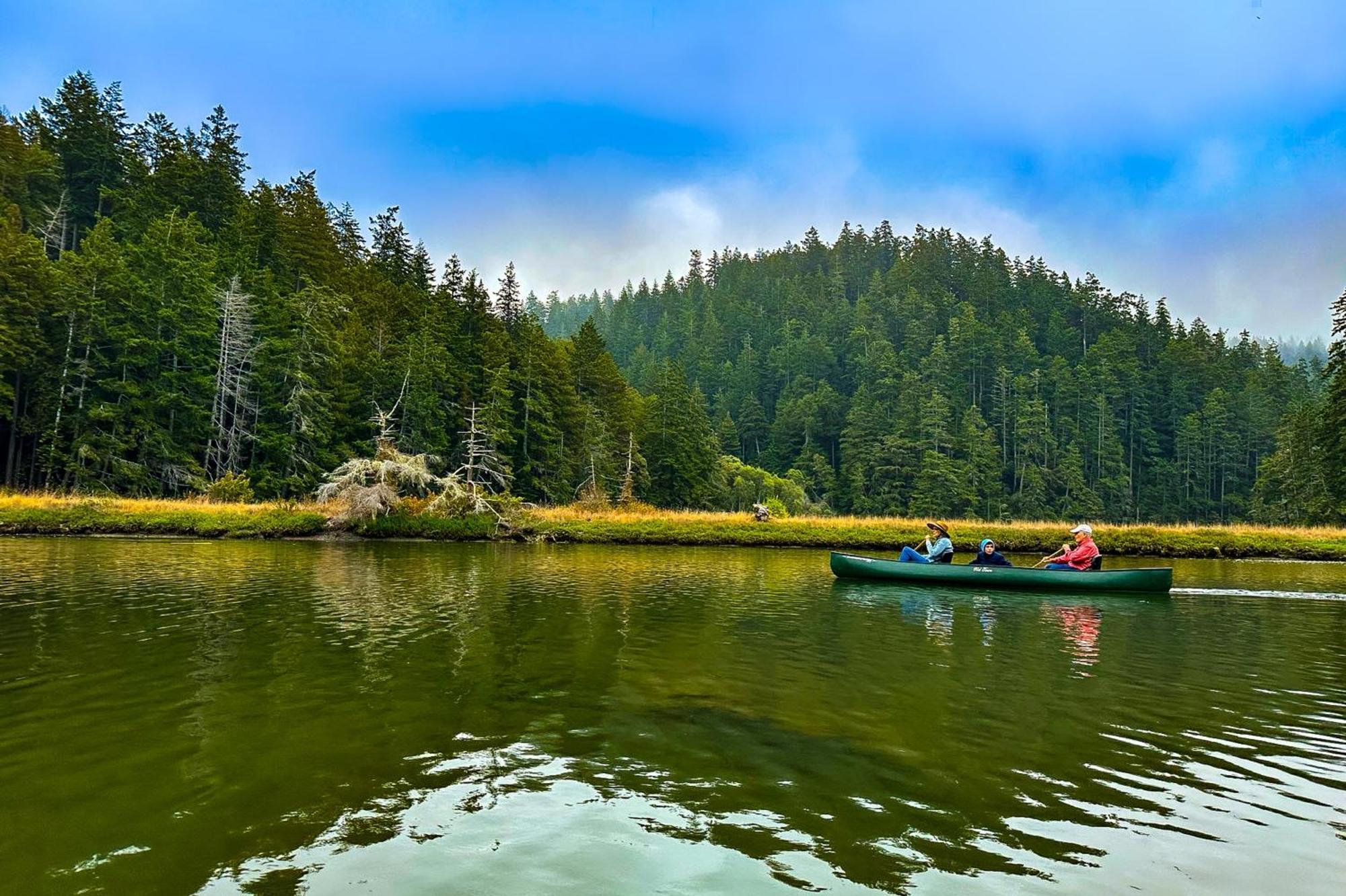 Mendocino Redwood Retreat - Vista Home Albion ภายนอก รูปภาพ